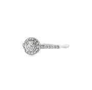 Diamond Halo Ring in 14 kt White Gold
