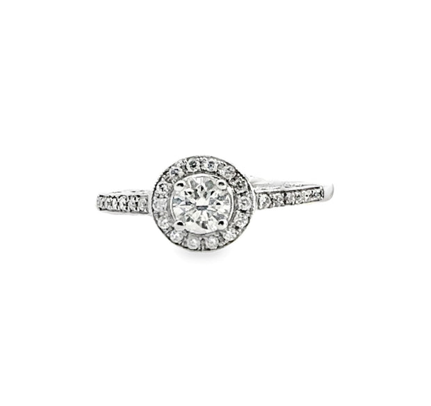 Diamond Halo Ring in 14 kt White Gold