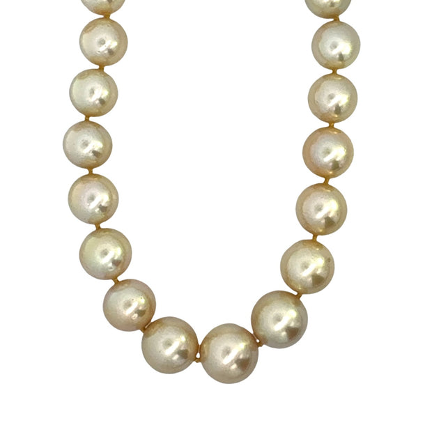Golden South Sea Pearl Necklace with an Diamond 18 kt Yellow Gold Clap