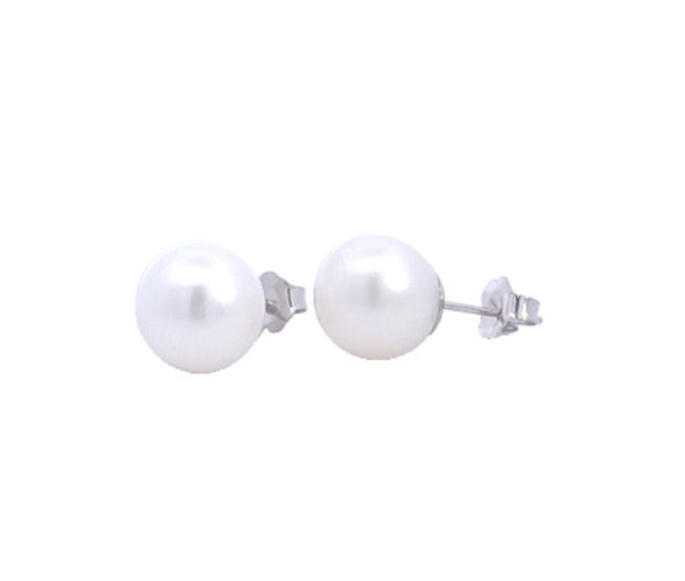9.5-10.0 mm Freshwater Pearl Stud Earrings in 14 kt White Gold