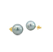 Tahitian Pearl Earrings on 14 kt Yellow Gold Posts
