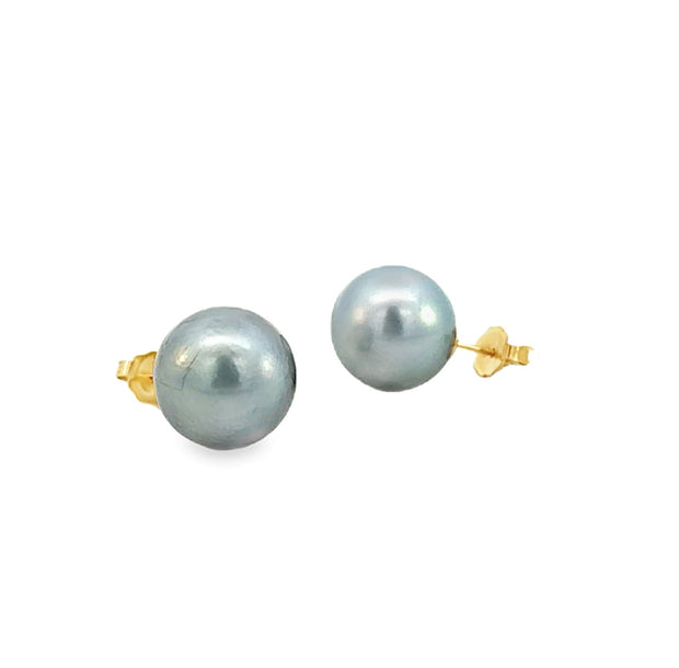 Tahitian Pearl Earrings on 14 kt Yellow Gold Posts