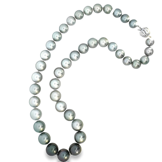 Tahitian Pearl Necklace with a 14 kt White Gold Clasp